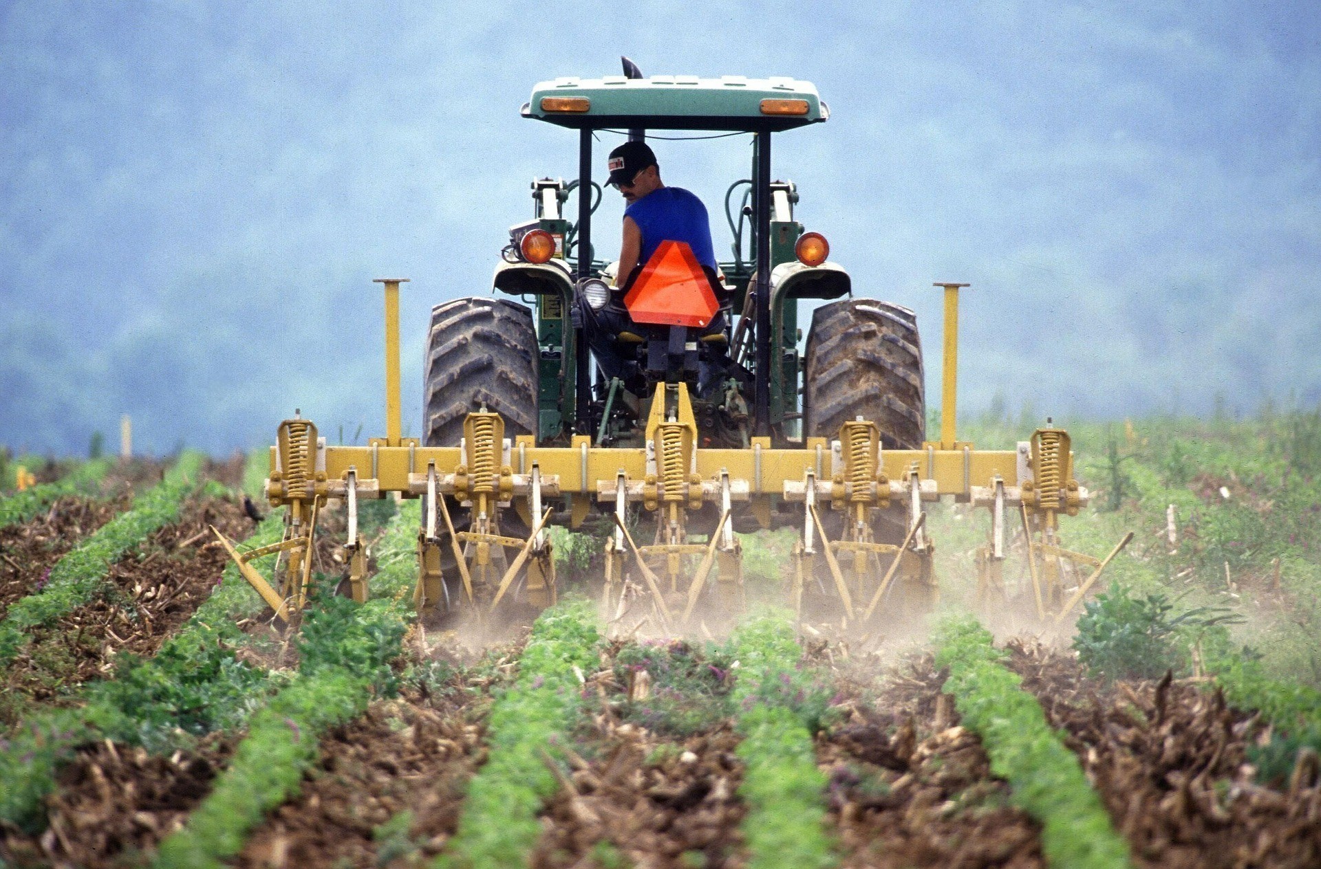 Συμβολαιακή γεωργία: Παράταση στην υποβολή των συμβάσεων