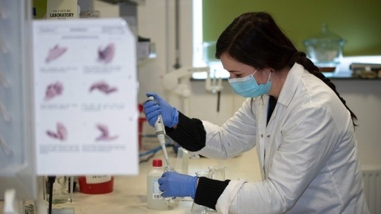 Κορωνοϊός: Ξεκινά η χορήγηση αντιικών φαρμάκων από το στόμα