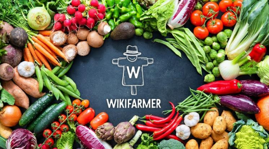 3.000 Έλληνες Παραγωγοί στη HORECA με το Wikifarmer