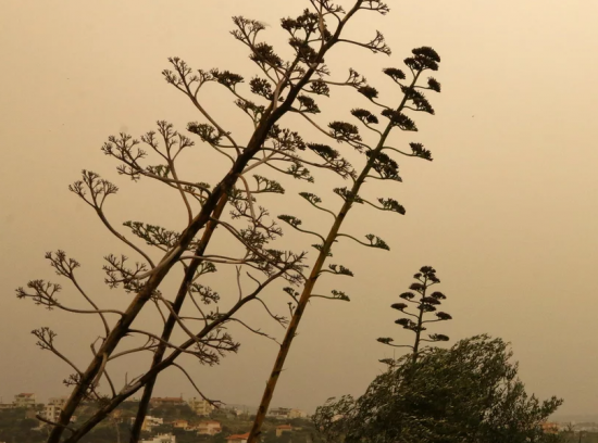 Καιρός: Με υψηλές θερμοκρασίες και αφρικανική σκόνη στα νότια η Δευτέρα