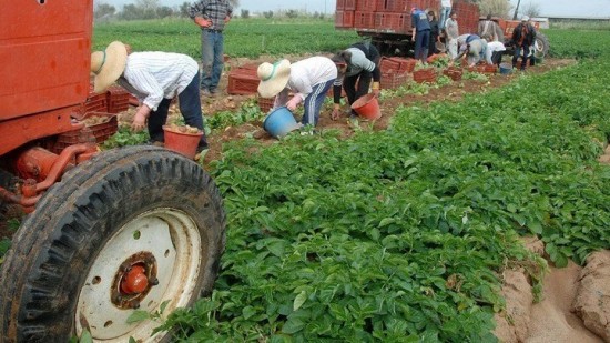 Αγρότες: Μέχρι πότε μπορούν να καταβάλουν την ειδική ασφαλιστική εισφορά