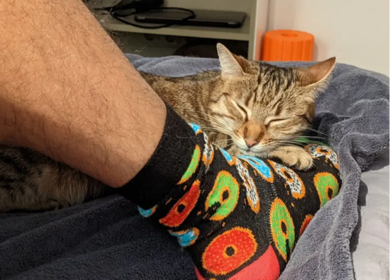 Συγκλονιστική περιγραφή μηχανικού software: Ετσι έφυγα από το Κίεβο με τη γυναίκα μου, δύο γάτες και μισό μπιτόνι βενζίνη