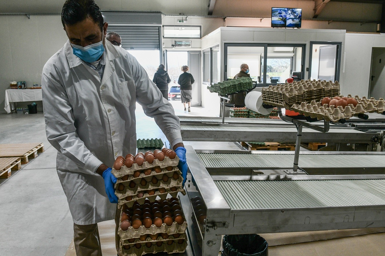 Αναπτυξιακός Νόμος: Κίνητρα για τη στήριξη των επενδύσεων στη γεωργική παραγωγή και στη μεταποίηση γεωργικών προϊόντων