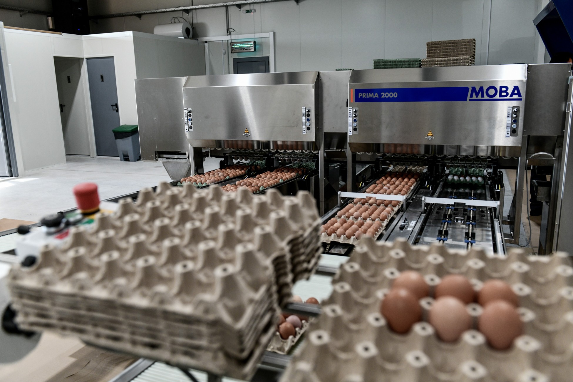 Αυγά με το… δελτίο στη Βρετανία – Άδεια ράφια στα σούπερ μάρκετ