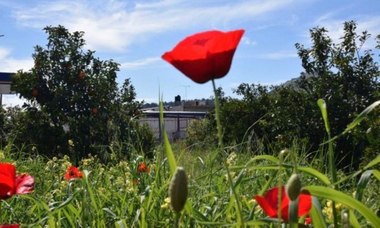 Πάσχα 2025: Υψηλές πληρότητες σε δημοφιλείς ελληνικούς προορισμούς