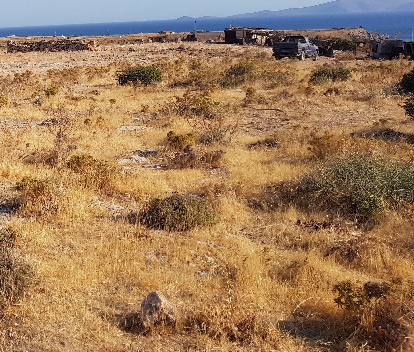 Πλειστηριασμοί: Άλλαξε χέρια το «φιλέτο» των 327 στρεμμάτων στο Ηράκλειο