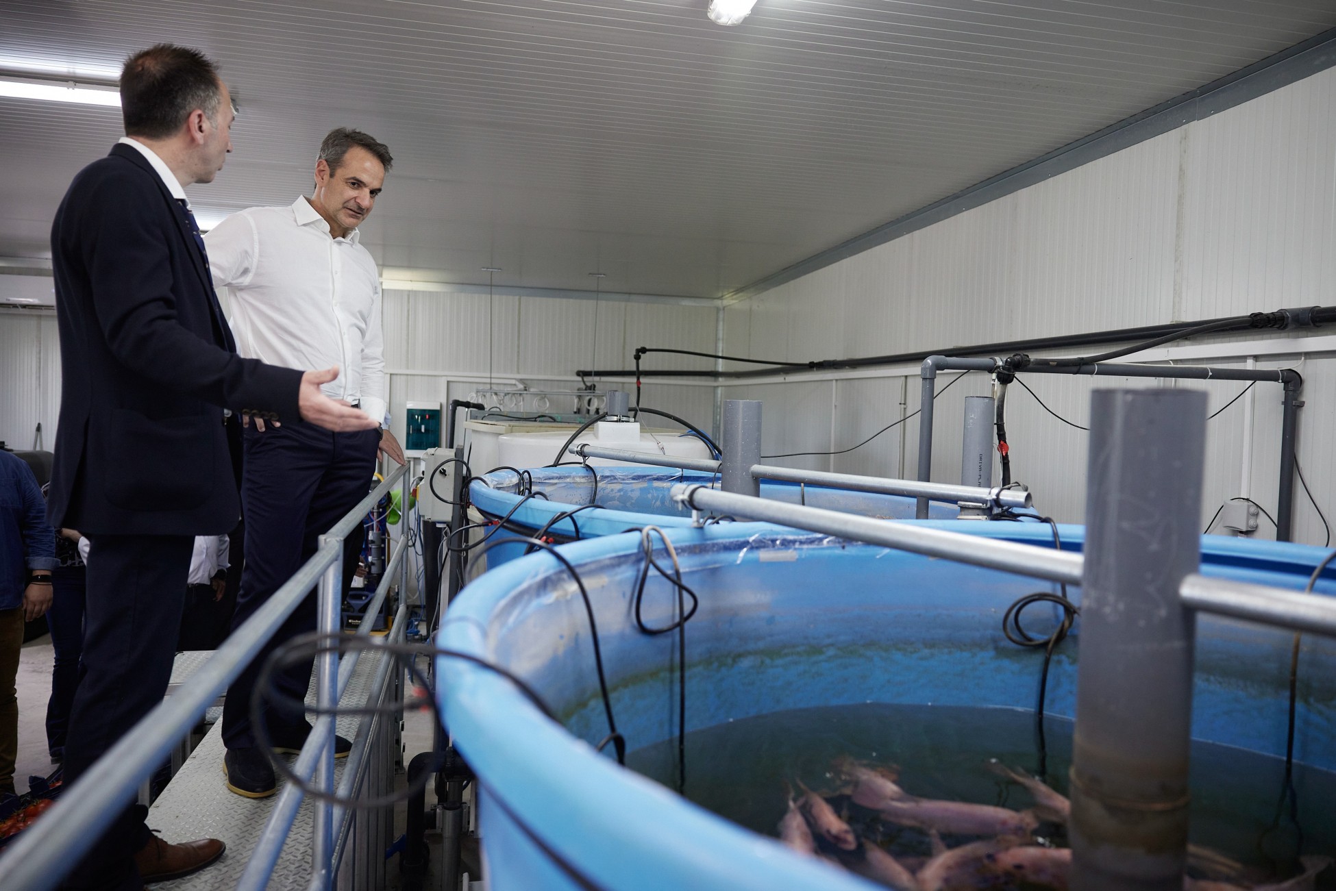 Μητσοτάκης: Έργα 16 εκατ. για την επέκταση του αρδευτικού δικτύου στον θεσσαλικό κάμπο