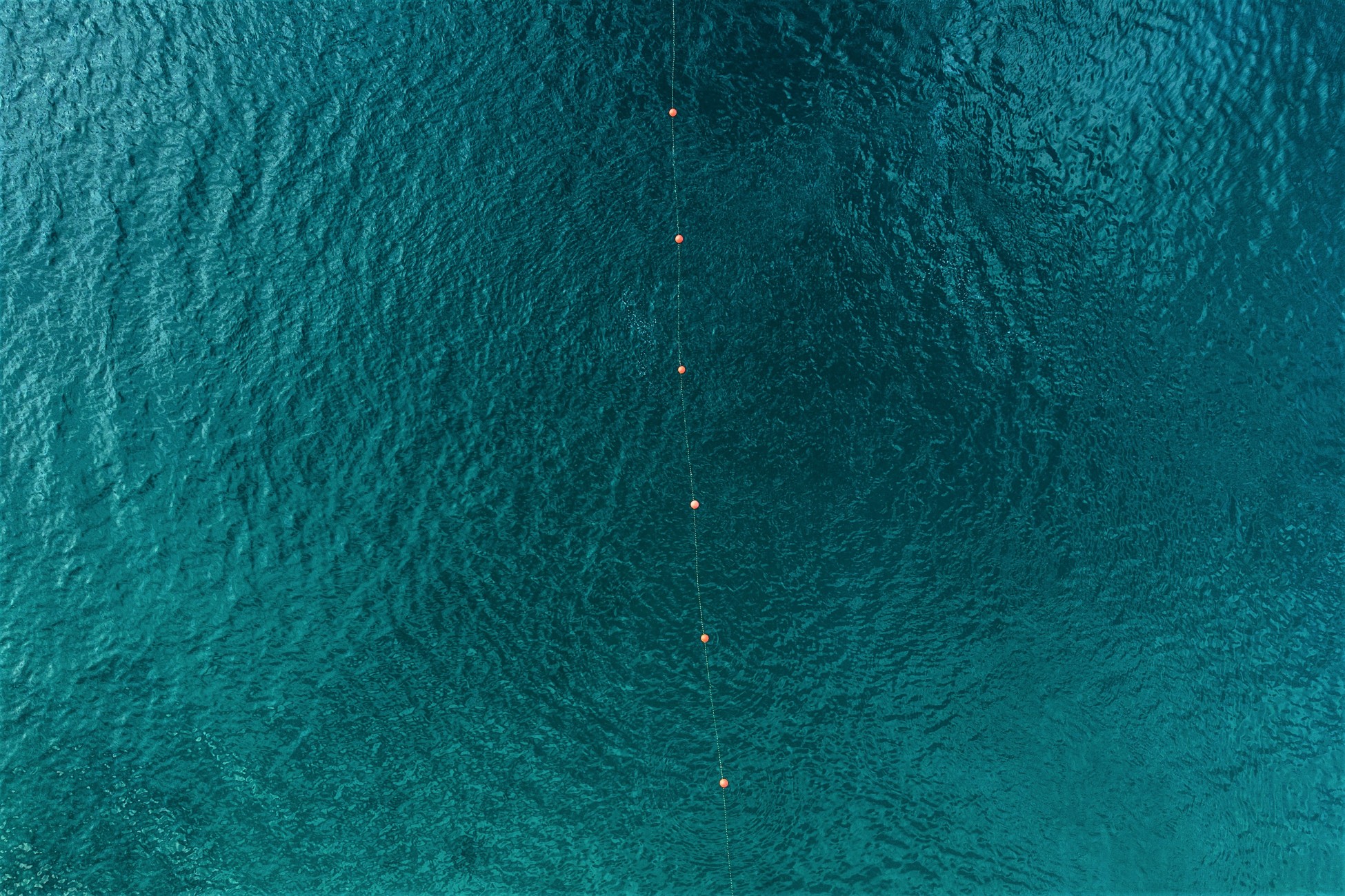 MoU υπέγραψαν Grid Telecom και Cinturion για την προσαιγιάλωση του καλωδιακού συστήματος TEAS στην Ελλάδα