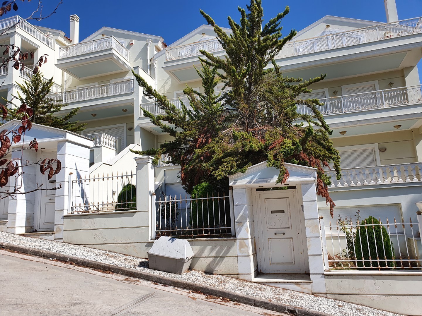 Το disaster story της «Ιόνιος»: Στο σφυρί το μεγάλο «ασημικό» του Μαρούλη