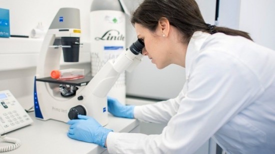 Ευλογιά των πιθήκων: Περισσότερα από 200 κρούσματα σε όλο τον κόσμο