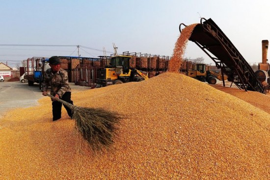 Οι ΥΠΕΞ της ΕΕ συζητούν για τα σιτηρά που παραμένουν αποκλεισμένα στα λιμάνια της Ουκρανίας