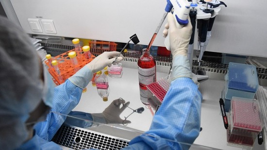 Ευλογιά των πιθήκων: Πάνω από 1.000 κρούσματα σε 29 χώρες– Τι συμβουλεύει το CDC