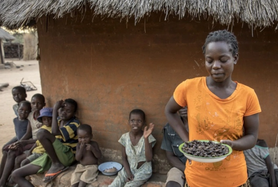 ΟΗΕ: 43,2 εκατ. άνθρωποι αντιμέτωποι με πείνα σε Λατινική Αμερική και Καραΐβική