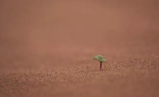 Σικελία: Πλήττεται βάναυσα από την κλιματική αλλαγή