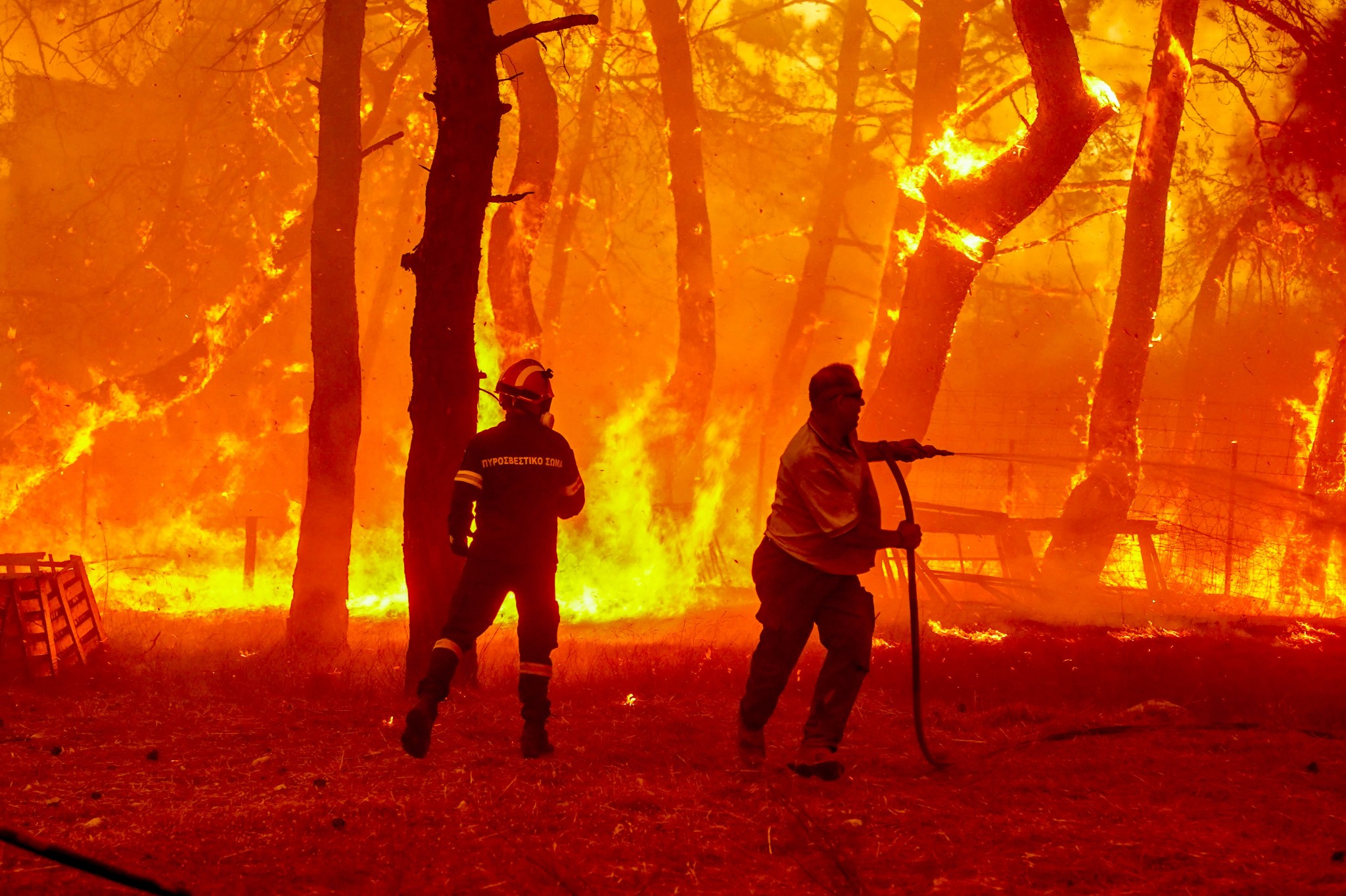 Φωτιά στη Λέσβο: Δραματικές προσπάθειες για την κατάσβεση της πυρκαγιάς στα Βατερά (pics + vids) (upd)