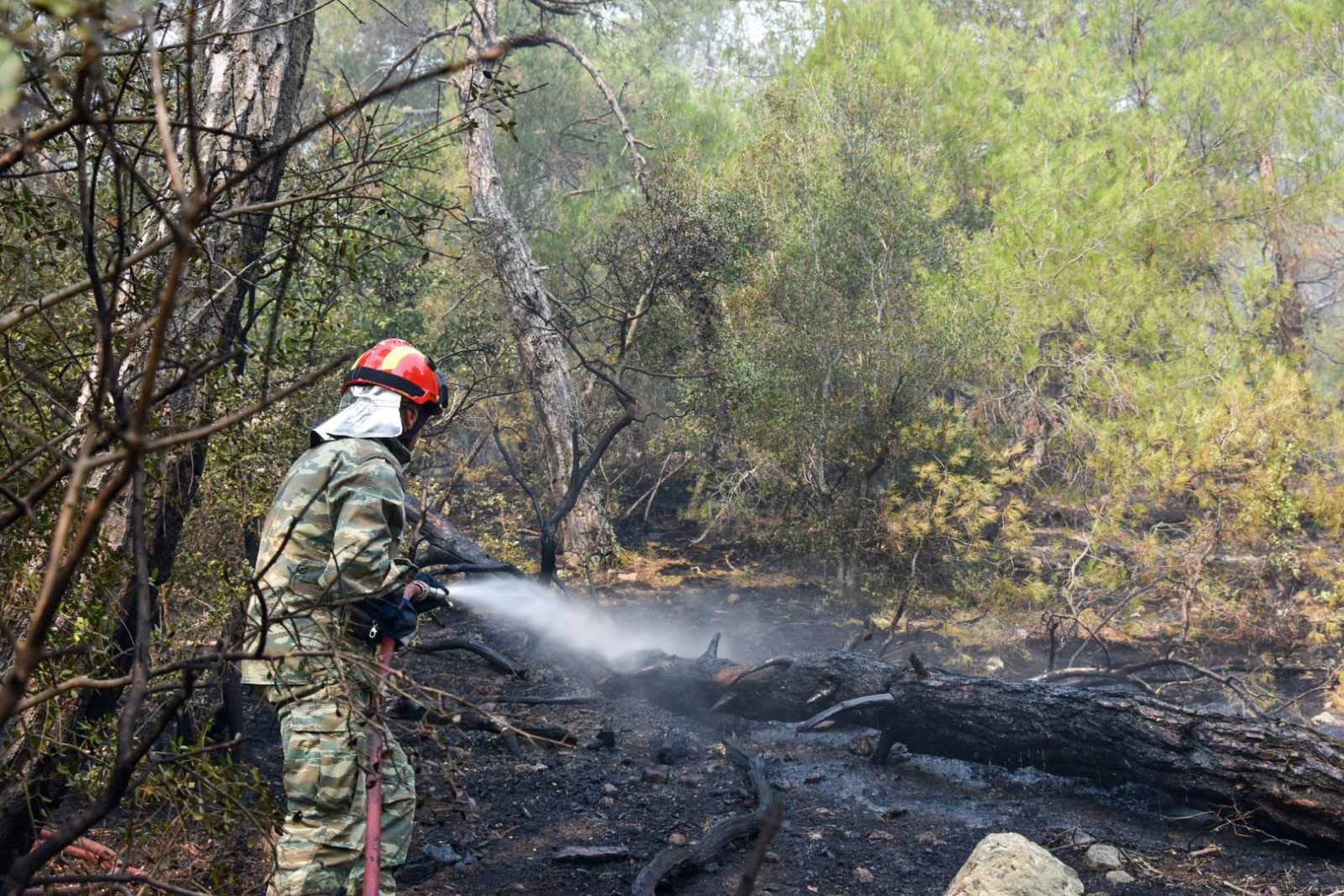Τρία πύρινα μέτωπα στο Εθνικό Πάρκο Δαδιάς – Μαίνεται η πυρκαγιά σε Λέσβο και Ηλεία