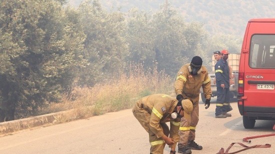 Φωτιά στο Άγιο Όρος: Ενισχύονται οι πυροσβεστικές δυνάμεις (vid+pics)