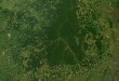 Αμαζόνιος: Η ξηρασία έχει «στεγνώσει» πάνω από το ένα τρίτο του δάσους