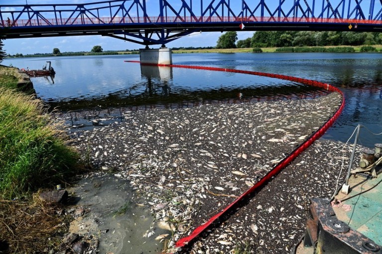 Πολωνία: Παραμένει άλυτο το μυστήριο με τον θάνατο ψαριών στον ποταμό Όντερ (vid)