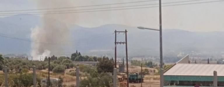 Οινόφυτα: Φωτιά σε χαμηλή βλάστηση – Διακόπηκαν δρομολόγια τρένων