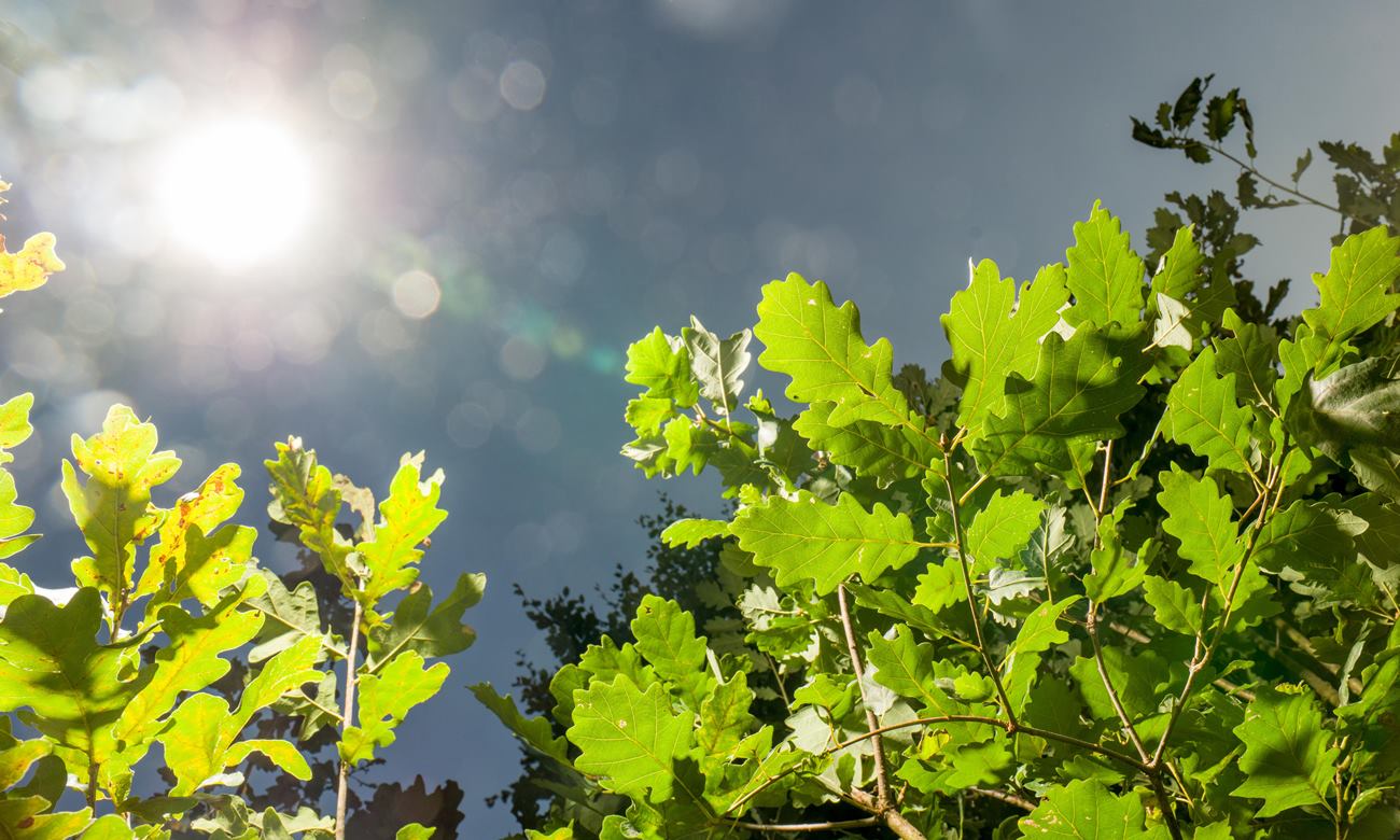Αυτοκινητοβιομηχανία: Οι προμηθευτές «πληρώνουν τη νύφη» της πράσινης ανάπτυξης (pics)