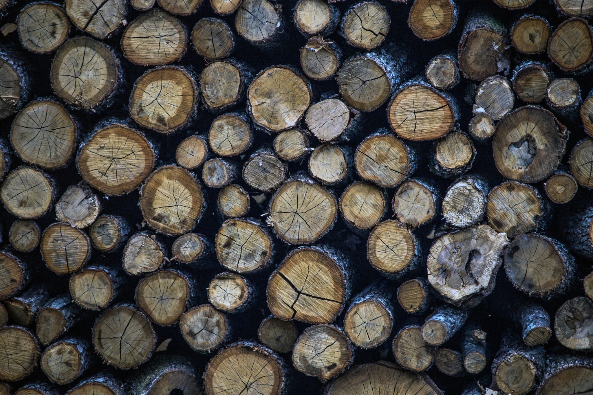 Aκρίβεια: Έρχεται πλαφόν στο περιθώριο κέρδους για καυσόξυλα και πέλετ