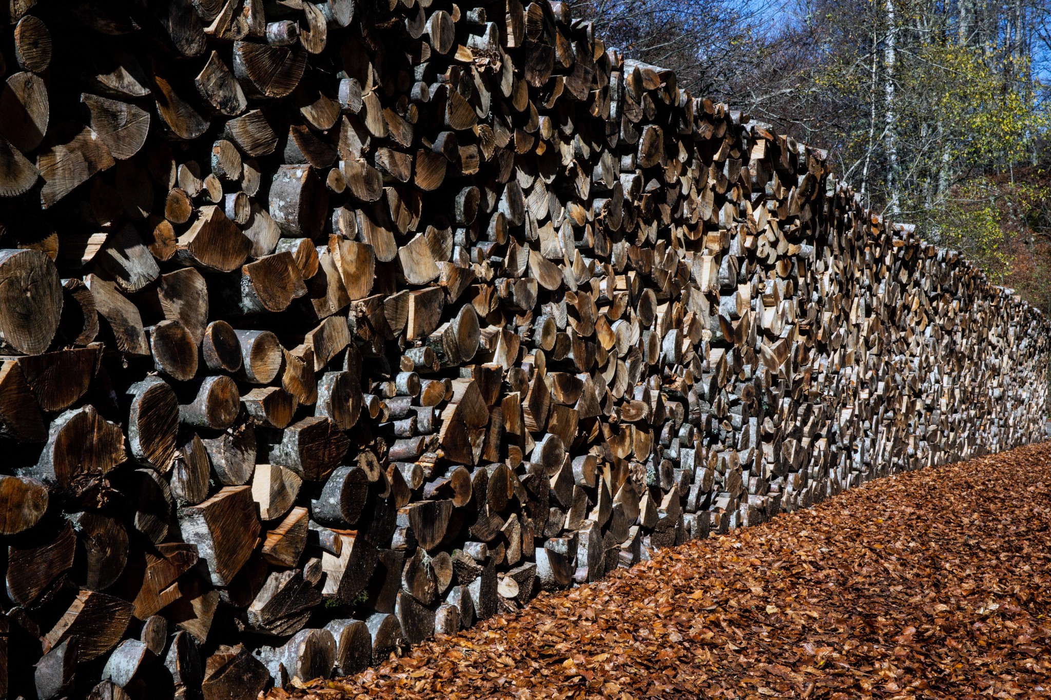 Καυσόξυλα – πετρέλαιο θέρμανσης: Πού θα κυμανθούν φέτος οι τιμές