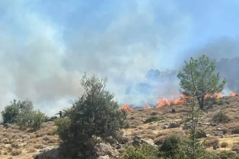 Υπό μερικό έλεγχο η φωτιά στη Λέσβο – Επί τόπου πυροσβεστικές δυνάμεις (upd)