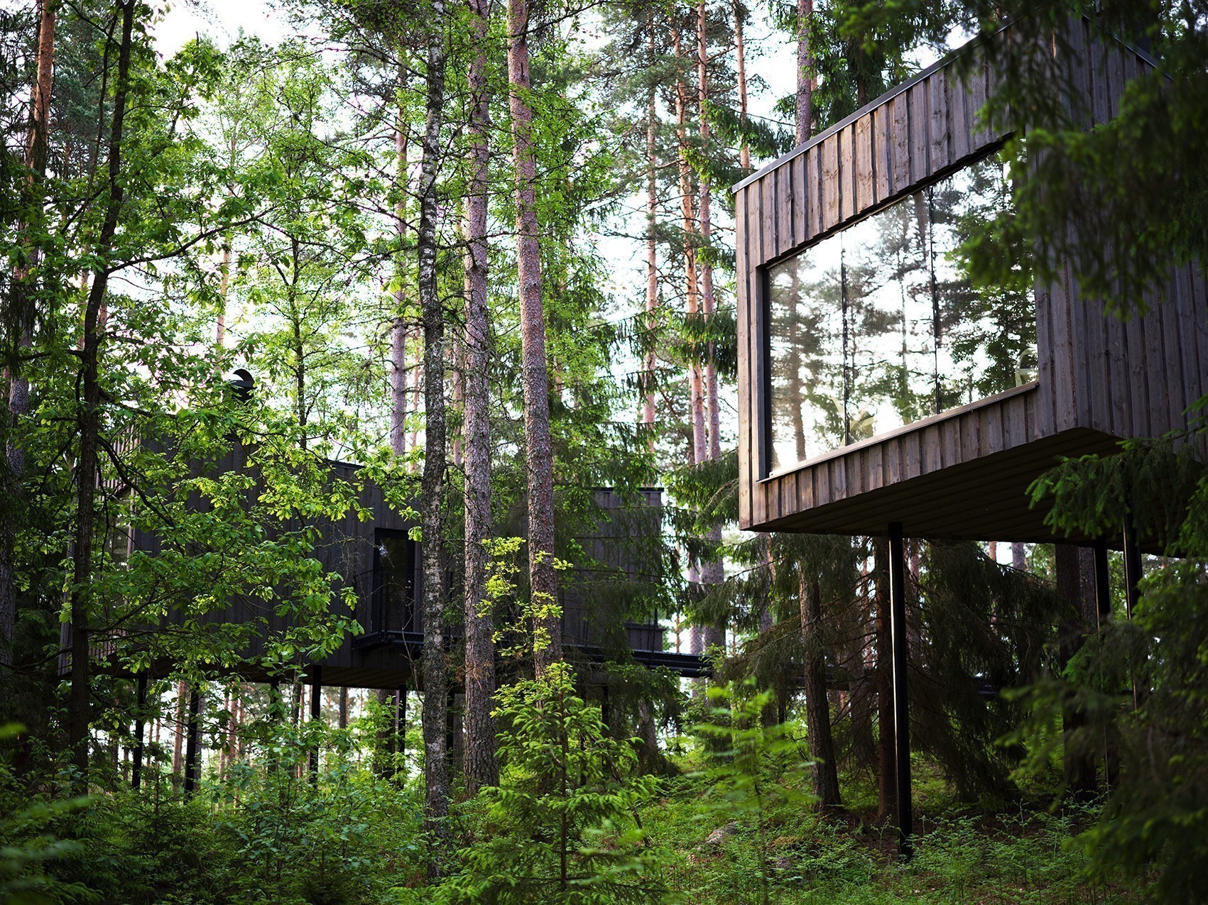 Το Trakt Forest Hotel θέλει να ζήσουμε την απόλυτη εμπειρία του δάσους