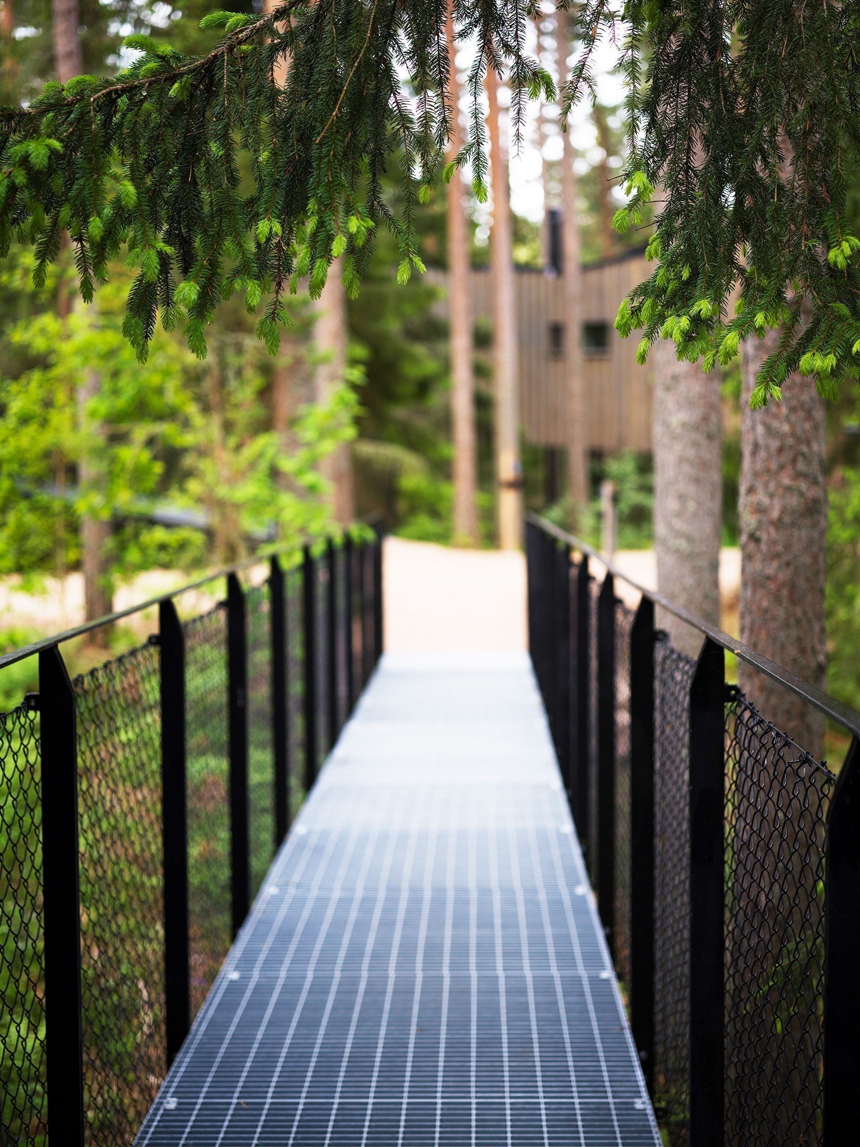 Το Trakt Forest Hotel θέλει να ζήσουμε την απόλυτη εμπειρία του δάσους