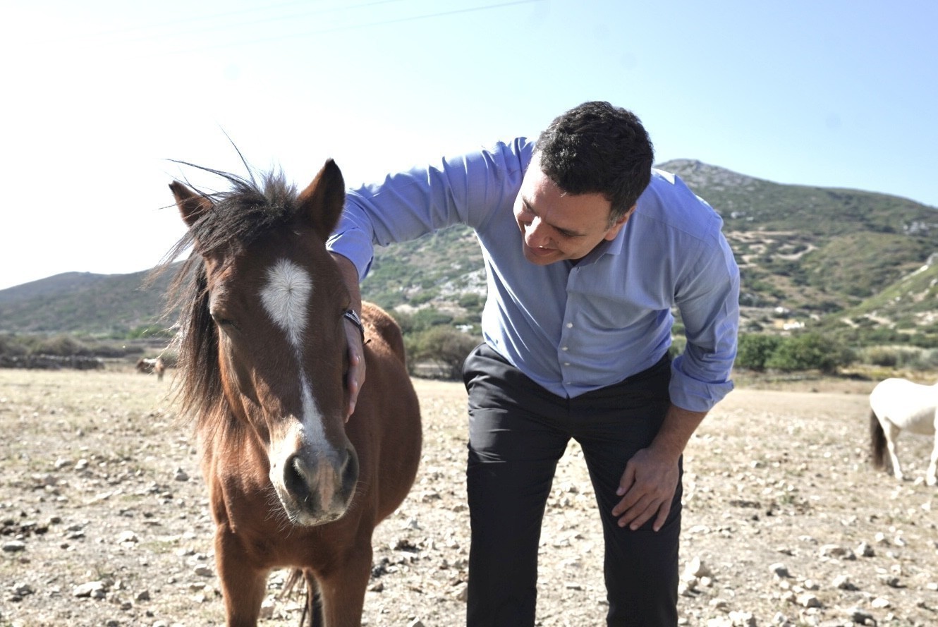 Κικίλιας: «Διασώζουμε το Σκυριανό Άλογο, προστατευτούμε και αναδεικνύουμε την πολιτιστική μας κληρονομιά»