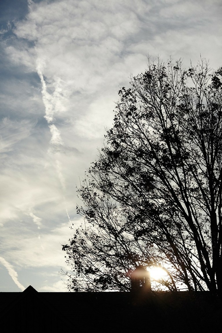 Αυτό είναι το εστιατόριο σύμβολο της βιωσιμότητας