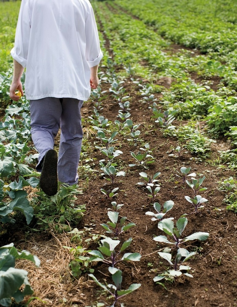 Αυτό είναι το εστιατόριο σύμβολο της βιωσιμότητας