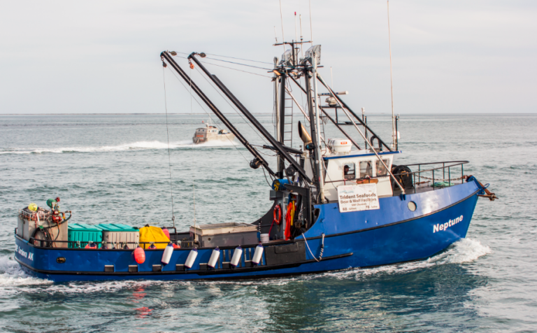 Aπαγορεύτηκε το ψάρεμα του καβουριού του χιονιού