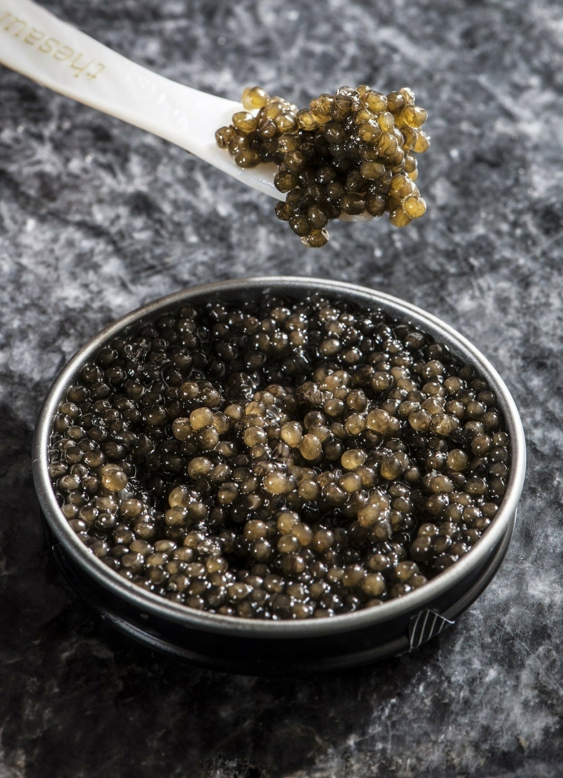 Tο ελληνικό χαβιάρι και ο οξύρρυγχος του Αμβρακικού κόλπου