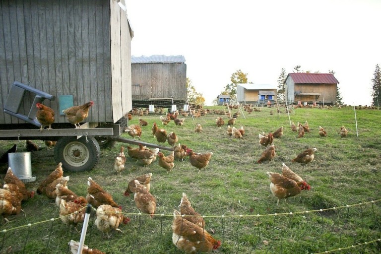 Αυτό είναι το εστιατόριο σύμβολο της βιωσιμότητας