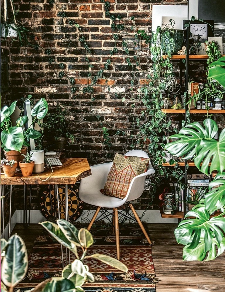 Αυτοί είναι οι “plantfluencers” που μας μαθαίνουν να ζούμε μαζί με τα φυτά