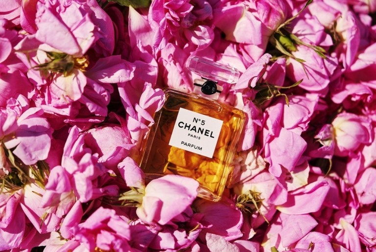 Πόσα τριαντάφυλλα χωράνε στο πιο διάσημο άρωμα όλων των εποχών; (video)