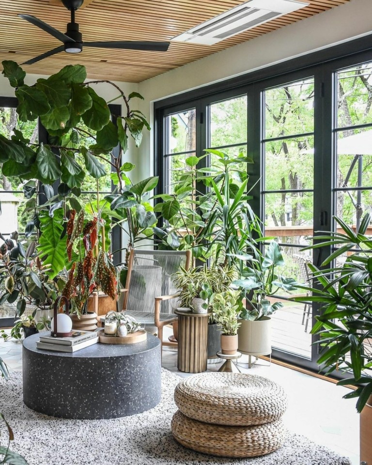 Αυτοί είναι οι “plantfluencers” που μας μαθαίνουν να ζούμε μαζί με τα φυτά