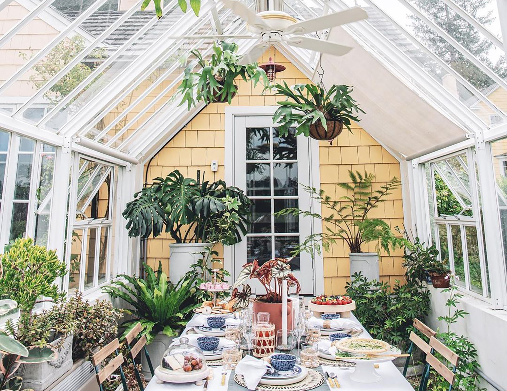 Αυτοί είναι οι “plantfluencers” που μας μαθαίνουν να ζούμε μαζί με τα φυτά