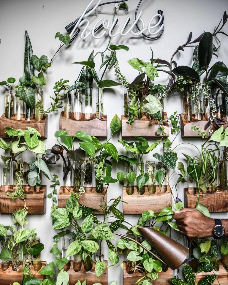 Αυτοί είναι οι “plantfluencers” που μας μαθαίνουν να ζούμε μαζί με τα φυτά