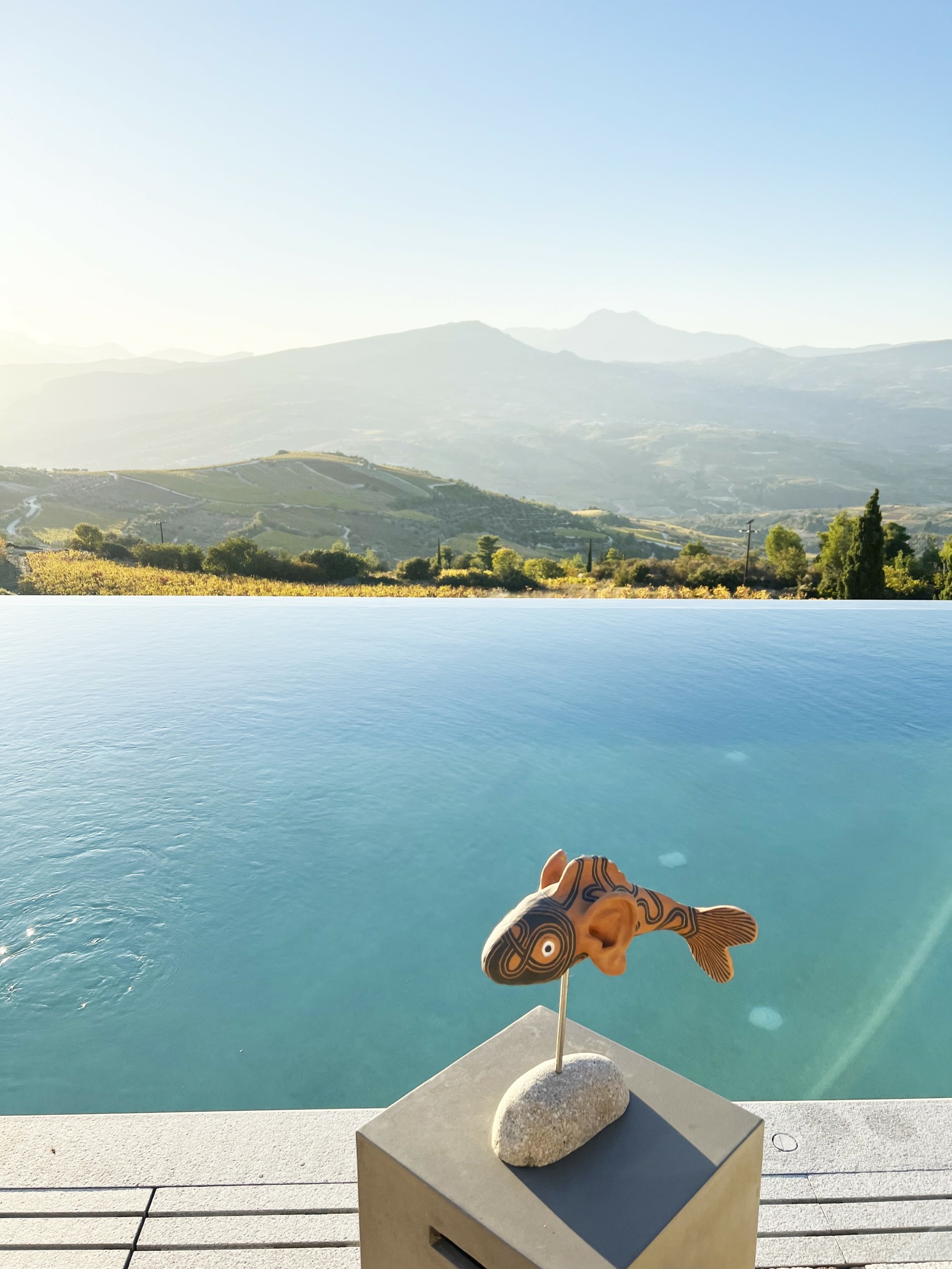 9 υπέροχες σουΐτες, μιάμιση ώρα από την Αθήνα, για μια κορυφαία οινική εμπειρία