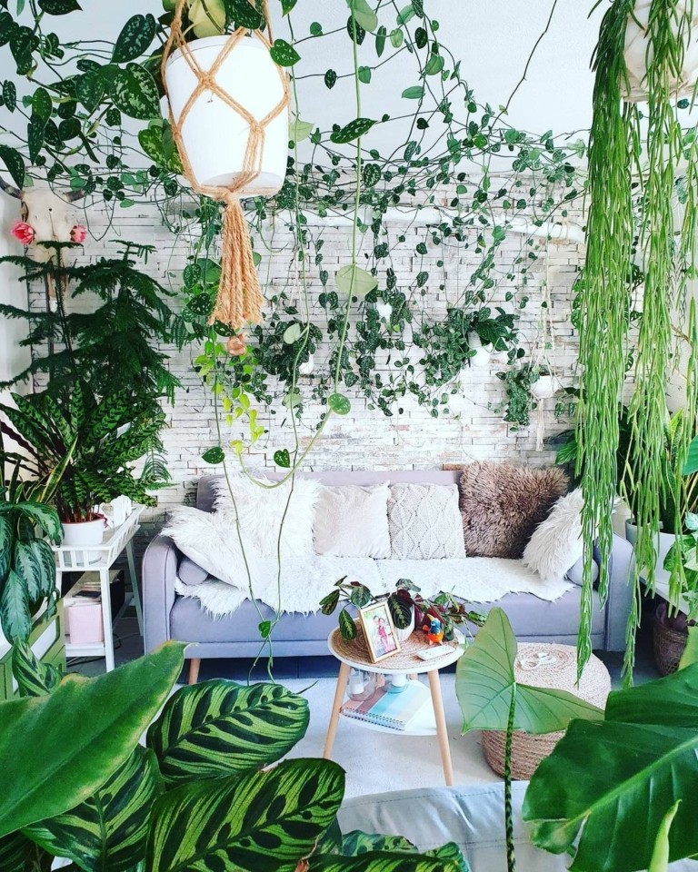 Αυτοί είναι οι “plantfluencers” που μας μαθαίνουν να ζούμε μαζί με τα φυτά