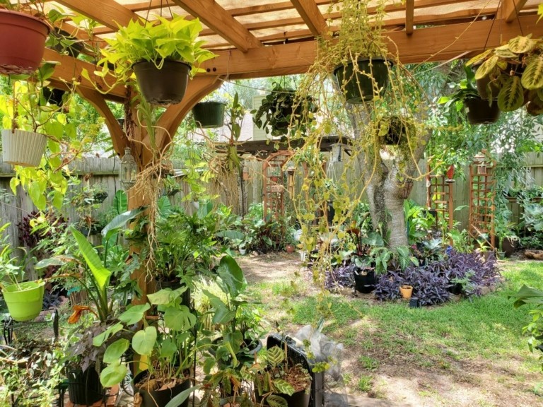 Αυτοί είναι οι “plantfluencers” που μας μαθαίνουν να ζούμε μαζί με τα φυτά