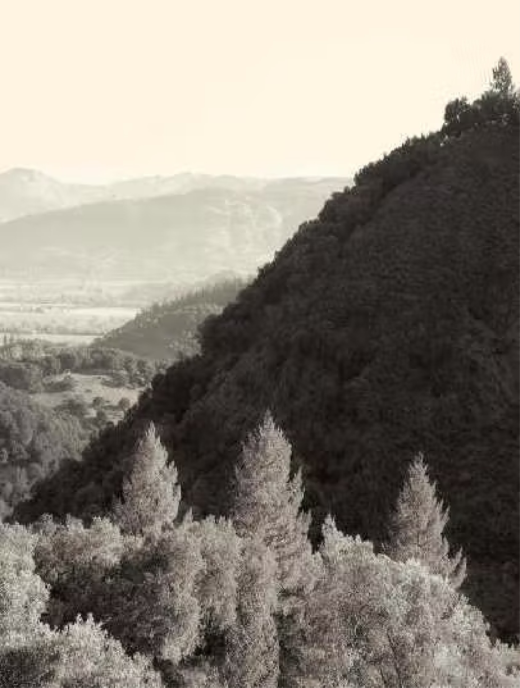 Tαξιδεύουμε στην Καλιφόρνια και δοκιμάζουμε το θρυλικό Promontory των 1.300 ευρώ