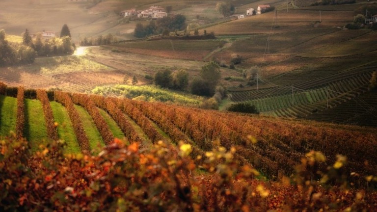 Πώς τα ακραία καιρικά φαινόμενα έπληξαν τις σοδειές της Ευρώπης