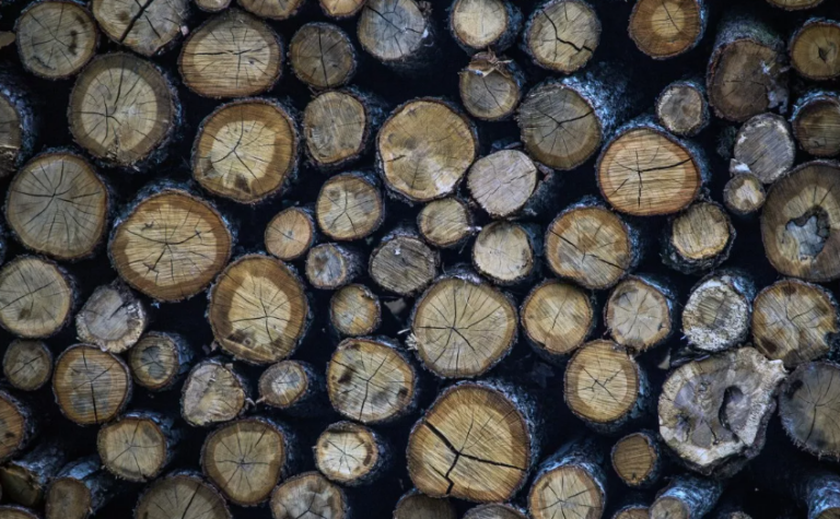 Καυσόξυλα: Αυξήσεις 50% στις τιμές – Φόβοι για ελλείψεις