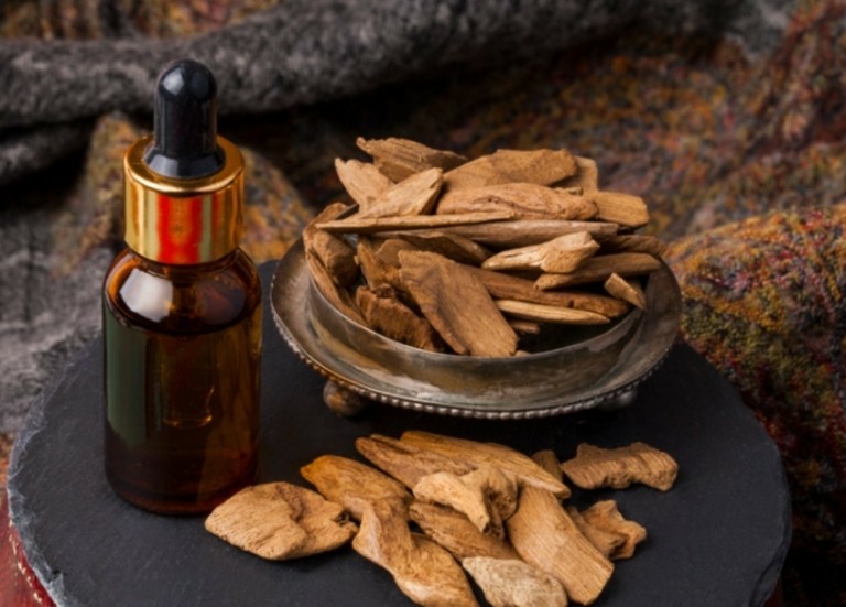 Oud Wood – Το σπάνιο συστατικό που δημιουργεί κορυφαία ανδρικά αρώματα