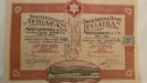 «Λεβιάθαν»: Η ιστορία της κραταιάς υφαντουργίας του Βόλου μέσα από μία μετοχή του 1928