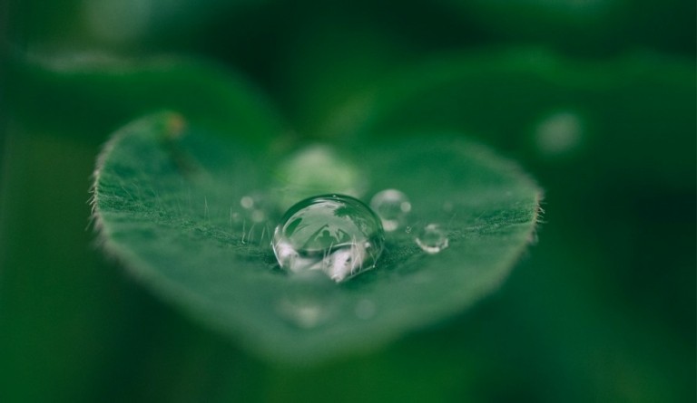 Υπεύθυνο επιχειρείν για τους ανθρώπους και τον πλανήτη